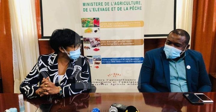 ELEVAGE – 473 bovidés décédés dans le Vatovavy Fitovinany des suites de la Fièvre de la vallée du Rift, 576 autres infectés selon le ministère de l&rsquo;Agriculture, de l&rsquo;élevage et de la pêche