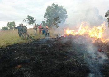INCENDIE – La ministre de l’Environnement alerte contre des feux de brousse et de forêt précoces et soupçonnent des actes criminels