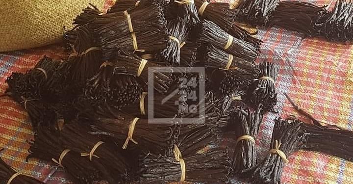 COMMERCE – La campagne de commercialisation et d&rsquo;exportation de la vanille prolongée jusqu&rsquo;au 30 Juin Madagascar espère encore écouler 150 tonnes de vanille