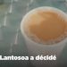 ENTREPRENEURIAT – Le « thé-cola », un business juteux signé Distri-Drink