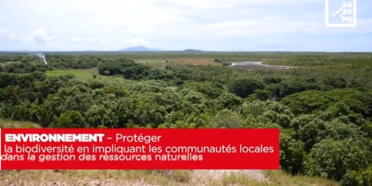 ENVIRONNEMENT – Protéger la biodiversité en impliquant les communautés locales dans la gestion des ressources naturelles