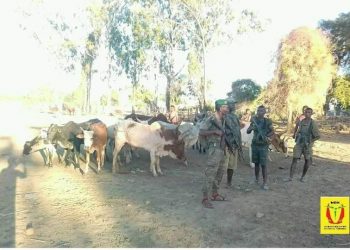 PREVENTION – 49 sites de vaccination contre la Covid-19 ouverts dans la région d&rsquo;Analamanga, dont un à l&rsquo;Université d&rsquo;Antananarivo à partir du 3 Juin