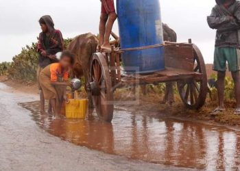 DEVELOPPEMENT – Des responsables étatiques en séminaire de deux jours à Taolagnaro pour se pencher sur les problèmes du Sud de Madagascar et leurs solutions