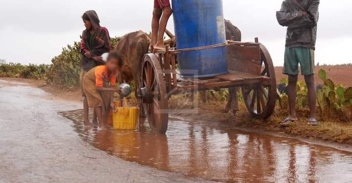 DEVELOPPEMENT – Des responsables étatiques en séminaire de deux jours à Taolagnaro pour se pencher sur les problèmes du Sud de Madagascar et leurs solutions