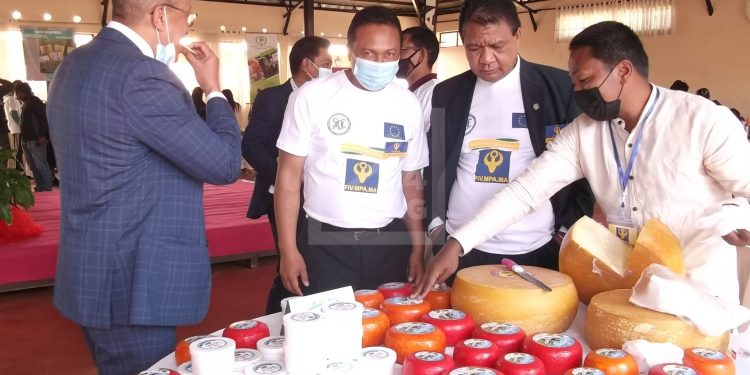 ENTREPRENEURIAT – Une journée start-up organisée par le Fivmpama à Antsirabe pour soutenir les jeunes entrepreneurs