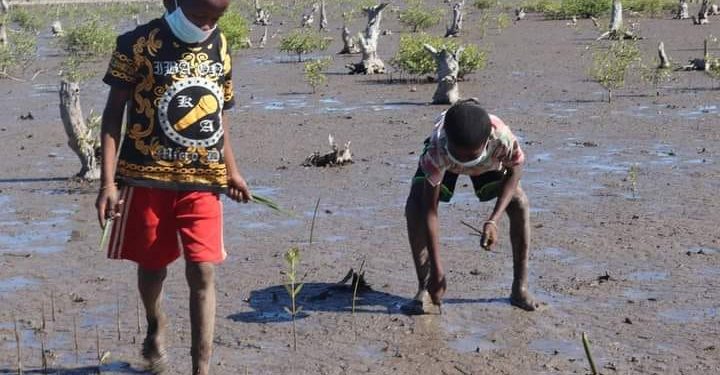 ENVIRONNEMENT – Le concours de photo, « mangrove photography awards », clôturé le 17 Juillet