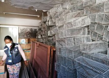 EPIDEMIE – Des intrants et des équipements offerts par l’OMS pour faire face à la saison pesteuse qui démarre en Août