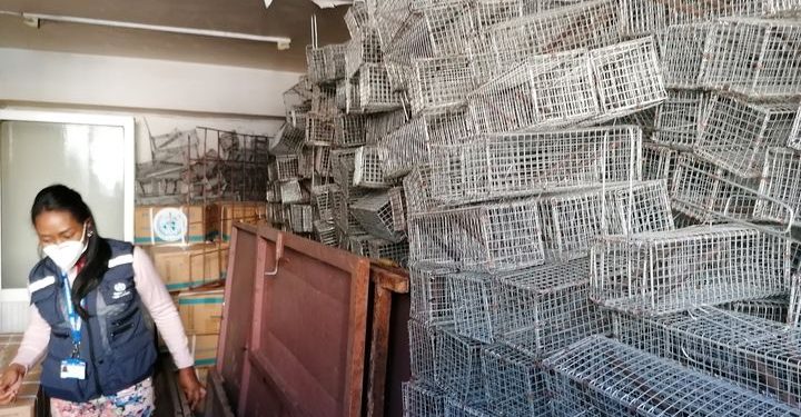 EPIDEMIE – Des intrants et des équipements offerts par l’OMS pour faire face à la saison pesteuse qui démarre en Août