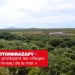 VATOSOA RAKOTONDRAZAFY – « Les mangroves protègent les villages de la montée du niveau de la mer »