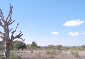 CHANGEMENT CLIMATIQUE – Mesoa ou la nostalgie d’une époque sans sécheresse