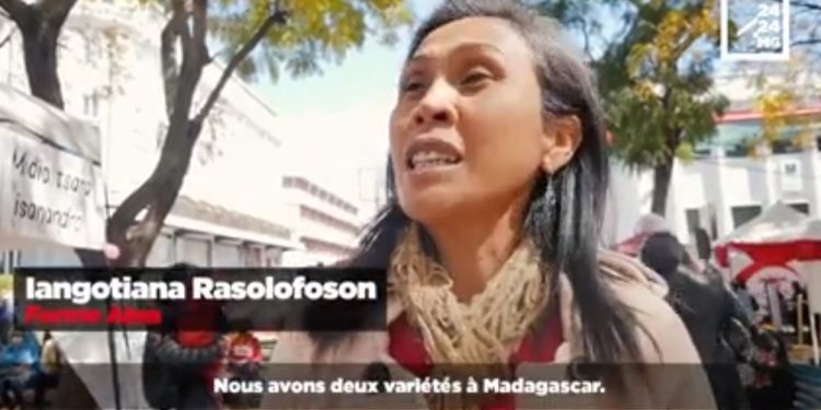 NUTRITION – Sésame, ces petites graines aux multiples bienfaits Ingrédients souvent utilisés dans de nombreux plats