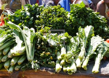 SECHERESSE DANS LE SUD – Des produits et des légumes frais à bas prix sur les marchés d&rsquo;Ambovombe grâce aux petites pluies du premier trimestre de 2021