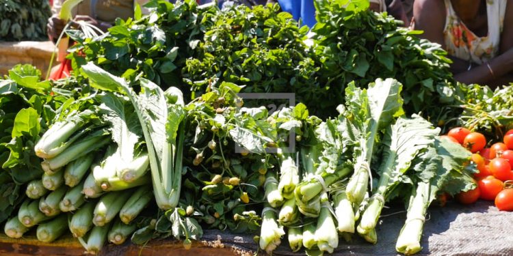SECHERESSE DANS LE SUD – Des produits et des légumes frais à bas prix sur les marchés d&rsquo;Ambovombe grâce aux petites pluies du premier trimestre de 2021