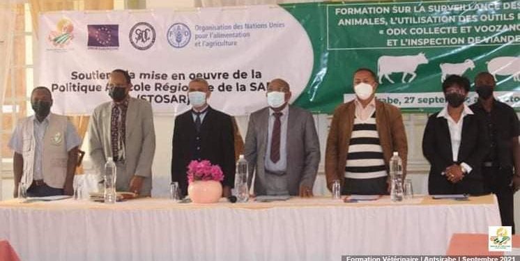 ELEVAGE – 48 vétérinaires formés à la surveillance électroniques des maladies animales