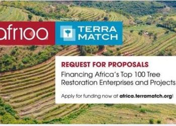 ENTREPRENEURIAT – Un financement jusqu’à 500 000 dollars pour les 100 meilleurs projets et entreprises de restauration de paysages déboisés en Afrique