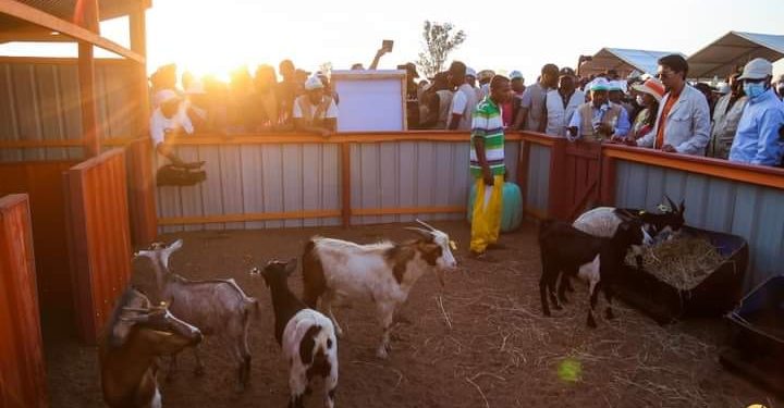 AGRICULTURE – Des certificats fonciers octroyés à 80 familles du Sud pour marquer le lancement du projet « titre vert » dans les régions d&rsquo;Androy et d&rsquo;Anosy
