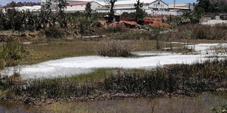 EAU – La Jirama assure que le marais où se sont déversés des produits douteux à Ambohimanambola ne communique pas directement avec la rivière Ikopa.