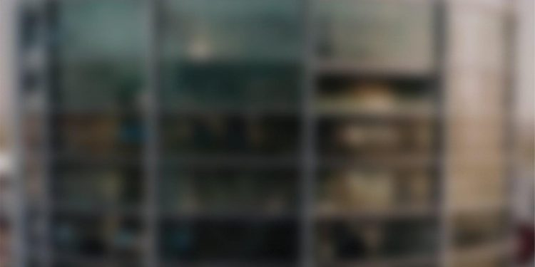 Ils vous préparent une surprise !