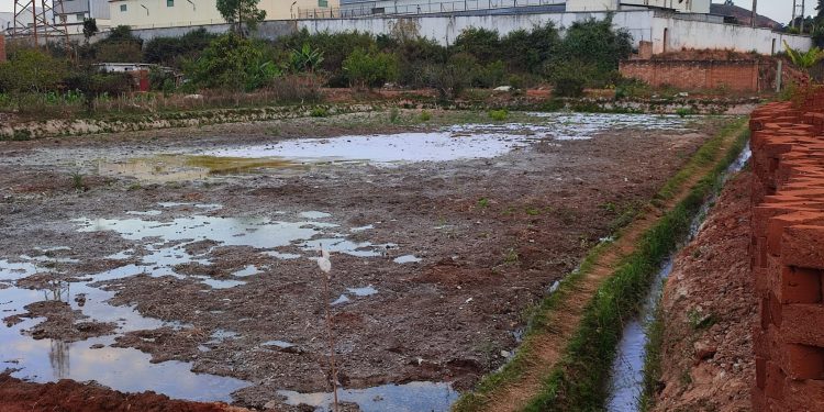 SUSPICION DE POLLUTION – Le ministère en charge de l&rsquo;Industrie indique que les eaux usées déversées par une industrie de papier dans un marais à Ambohimanambola ne sont « pas toxiques pour les êtres vivants »