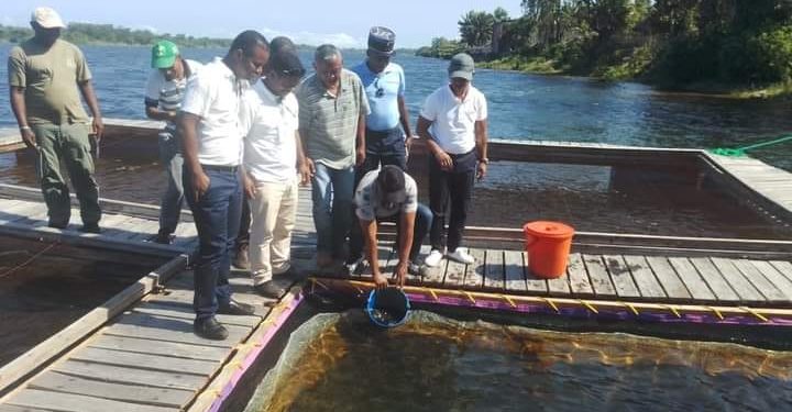 ECONOMIE – L&rsquo;exploitation de 10% des ressources en eau douce de Madagascar offre une potentialité de 1.200 milliards d&rsquo;ariary de revenus et de 100.000 emplois, indique le ministère de la Pêche et de l&rsquo;économie bleue