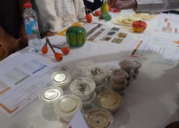 ALIMENTATION – Des produits aromatisés aux insectes comestibles pour plus d’apport nutritionnel