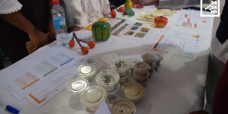 ALIMENTATION – Des produits aromatisés aux insectes comestibles pour plus d’apport nutritionnel