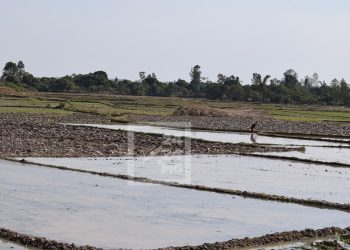 CLIMAT – Le service régional de météorologie d&rsquo;Alaotra Mangoro appelle à une bonne gestion de l&rsquo;eau pour prévenir l&rsquo;insuffisance de pluies prévue en Février dans la région