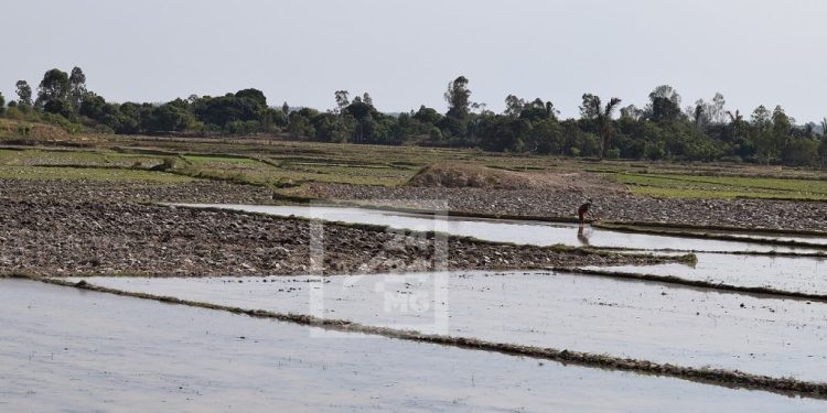 CLIMAT – Le service régional de météorologie d&rsquo;Alaotra Mangoro appelle à une bonne gestion de l&rsquo;eau pour prévenir l&rsquo;insuffisance de pluies prévue en Février dans la région