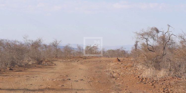 INSECURITE – Quatre personnes arrêtées après l’attaque ayant coûté la vie à un humanitaire en mission de distribution de vivres à Tranomaro, Amboasary Atsimo