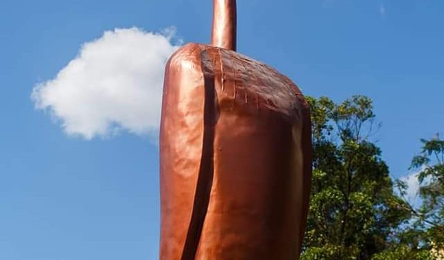 PARC D&rsquo;AMBOHIJATOVO – La statue en métal d&rsquo;un oiseau implanté à Ambohijatovo vise à conscientiser les générations futures sur les enjeux d’un environnement durable et pour ouvrir un débat sur le rôle de l&rsquo;art dans la société, explique Naina Andriantsitohaina