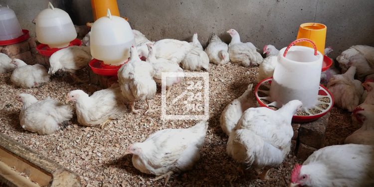 RELANCE ECONOMIQUE – Le programme Fihariana et ses partenaires reprennent le produit Miarina et proposent aux PME/PMI existant depuis plus de trois ans un prêt bancaire avec un taux préférentiel de 8% et un différé de six mois pour le remboursement