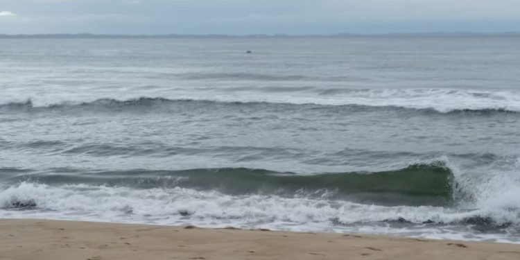 TRANSPORT – L’Agence portuaire maritime et fluvial fait part d’au moins 19 morts dans le naufrage du bateau Francia, 45 personnes retrouvées en vie, environ 65 personnes encore portées disparues