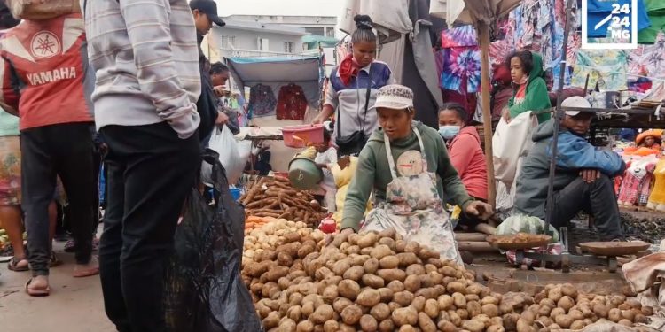 MARCHE – Quand la météo influe sur les prix des produits maraîchers