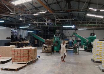 INDUSTRIE – Dans la fabrique de savon de Salama