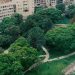 URBANISME – Le jardin botanique d’Ambohijatovo, un havre de verdure au cœur de la capitale