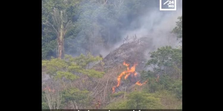 PARC NATIONAL – 3.000 ha de forêts détruites à Ankarafantsika depuis 2020.