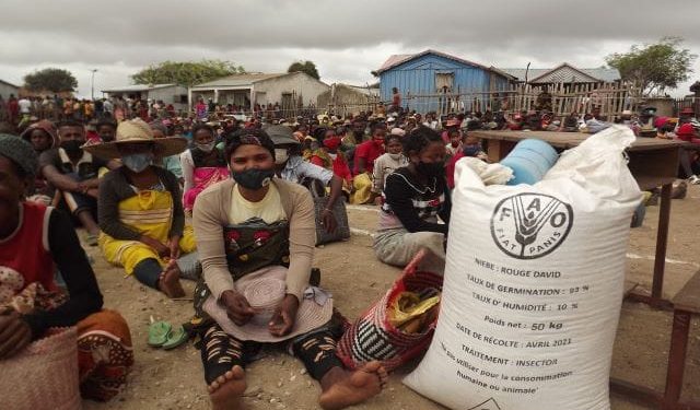 SÉCURITÉ ALIMENTAIRE – Des semences pour les cultures de contre saison pour 88.000 ménages dans l&rsquo;Anosy, Androy et Atsimo Andrefana