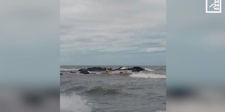 VAOVAO – MINUTE FLASH 19 APRILY 2022