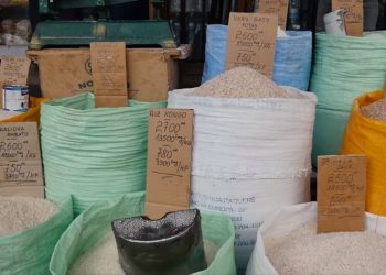 VAOVAO – MINUTE FLASH 15 APRILY 2022