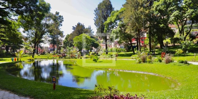 LOISIRS – Le parc botanique d&rsquo;Ambohijatovo enregistre 300 visiteurs pour son premier après-midi d&rsquo;ouverture