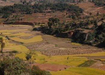 FAMPANDROSOANA NY TONTOLO AMBANIVOHITRA – Hamoraina indray ny fizarana kara-tany, asiam-panitsiana ato ho ato ny lalàna mifehy ny fananan-tany