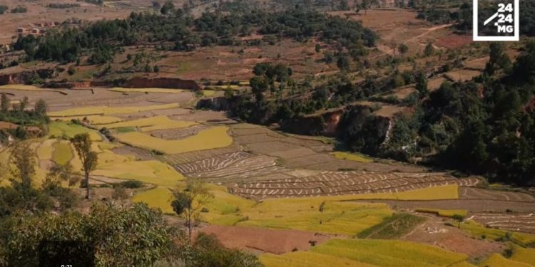 FAMPANDROSOANA NY TONTOLO AMBANIVOHITRA – Hamoraina indray ny fizarana kara-tany, asiam-panitsiana ato ho ato ny lalàna mifehy ny fananan-tany