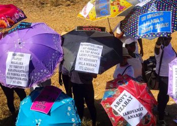 LEGISLATION – Le gouvernement soumet ses observations sur la proposition de loi relative à l’interruption thérapeutique de la grossesse