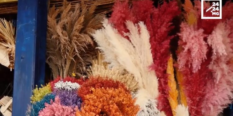 DECO – Des fleurs de pampa pour donner un côté bohème et glamour à son intérieur