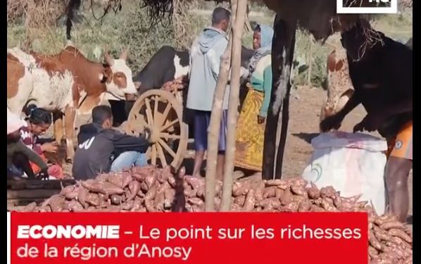 ECONOMIE – Le point sur les richesses de la région d’Anosy