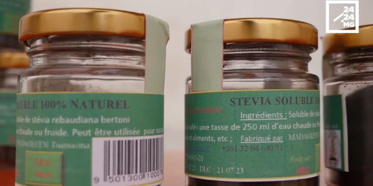 SANTE – Des feuilles de stevia pour remplacer le sucre dans les cuisines