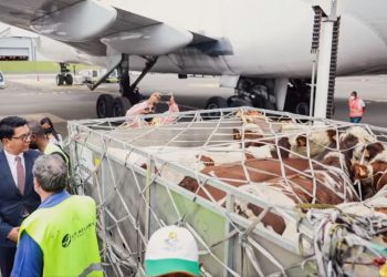 VAOVAO – MINUTE FLASH 09 JONA 2022