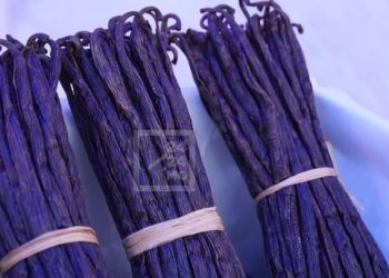 AGROALIMENTAIRE – Le pesticide cancérigène détecté dans des glaces à la vanille retirés de la vente en France interdit d’utilisation à Madagascar, selon le ministre en charge de l&rsquo;Agriculture