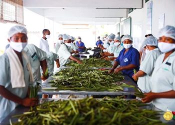 COMMERCE – Andry Rajoelina indique avoir amené des acheteurs de vanille dans sa délégation à Andapa pour acquérir la vanille de la région à 75.000 ariary au moins