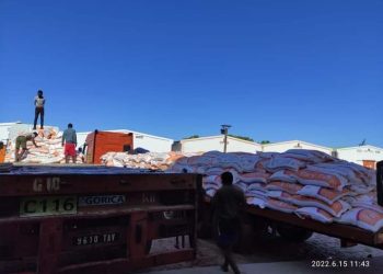 CONSOMMATION – 302.934 tonnes de riz importés durant les cinq premiers mois de 2022, une hausse du volume des importations de 32,72% par rapport à la même période de 2021